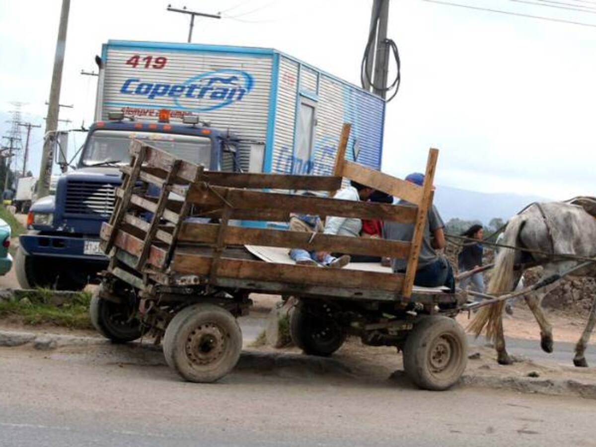 $7.000 millones invertirán en Pasto para acabar con vehículos de tracción animal