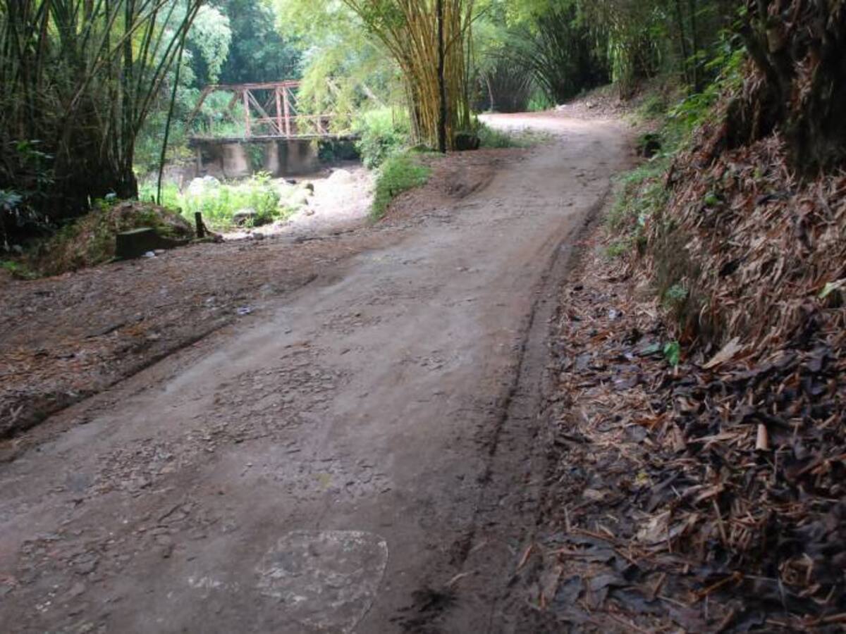 Ataque de desconocidos provoca muerte de otra mujer en Floridablanca