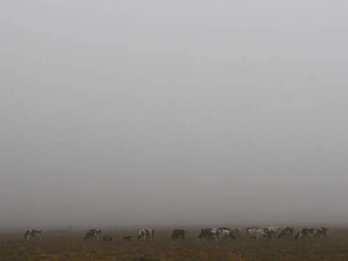 Ideam alerta sobre posibles heladas en suroccidente y centro del país