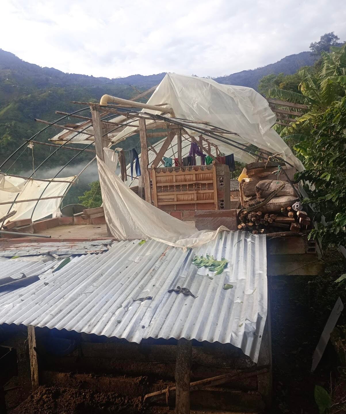 Más de 30 viviendas resultaron con afectaciones en techos y ventanas, tras el fuerte vendaval en Támesis. Foto: Alcaldía de Támesis.
