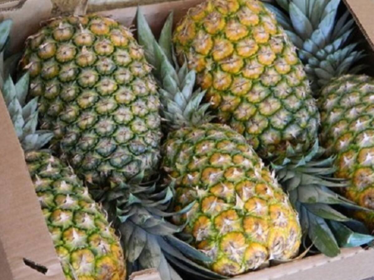 En el Valle del Cauca, hay reducción de precios y buen abastecimiento de frutas y verduras