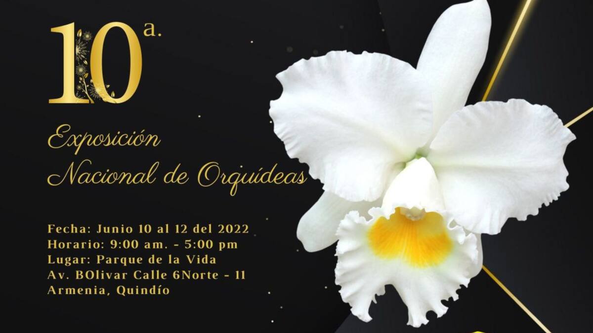 Melba Rincón, Exposición Nacional de Orquídeas, Armenia
