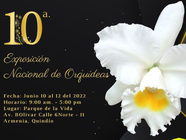 Melba Castro, Exposición Nacional de Orquídeas en Armenia