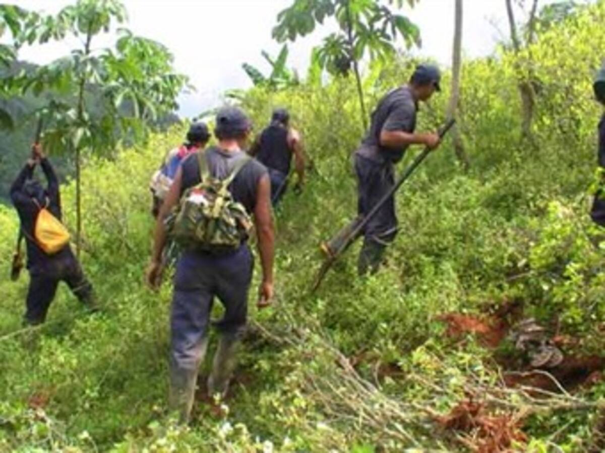 Malestar por presencia de erradicadores en Catatumbo a pocas horas de iniciarse diálogos
