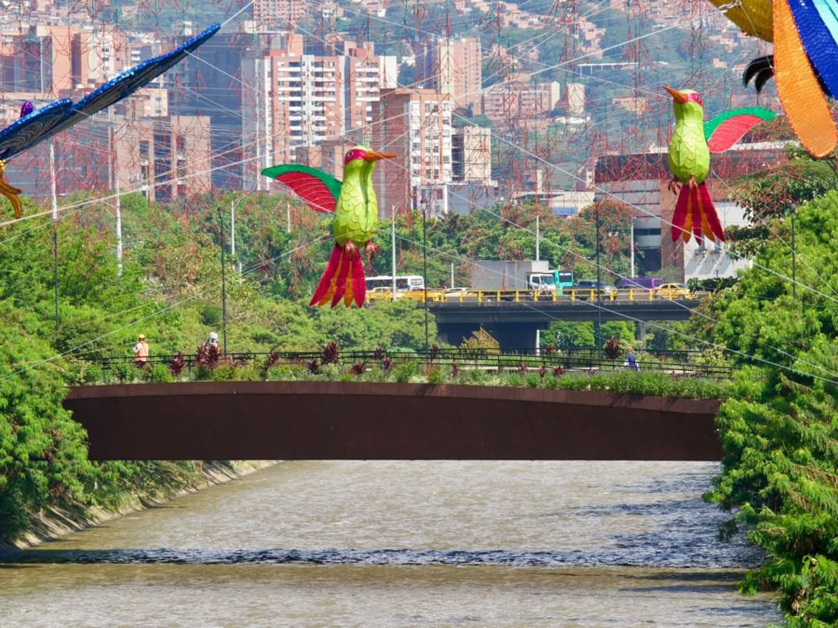 “Mi río, Mis Quebradas”: la nueva apuesta de Medellín para cuidar sus afluentes