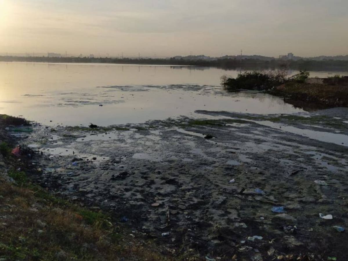 Procuraduría solicitó informe de acciones adoptadas por invasiones en la Ciénaga de La Virgen