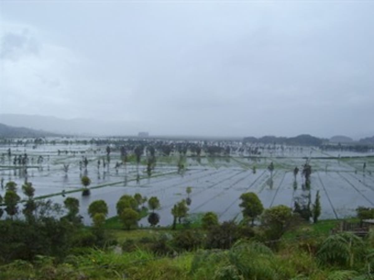 Un 83 % de la extensión original de la Laguna de Fúquene se perdió