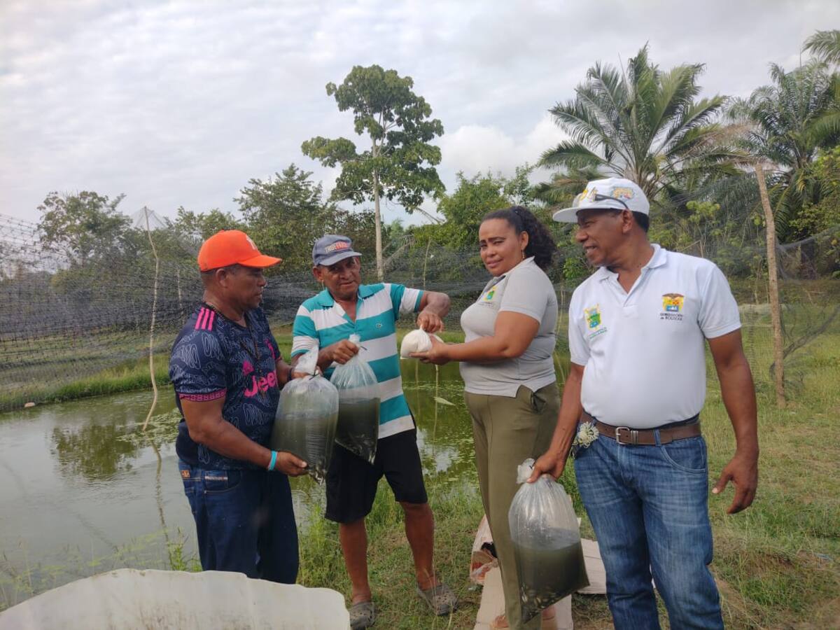 Alcaldía de María la Baja fortalece la cadena alimentaria con entrega de alevinos