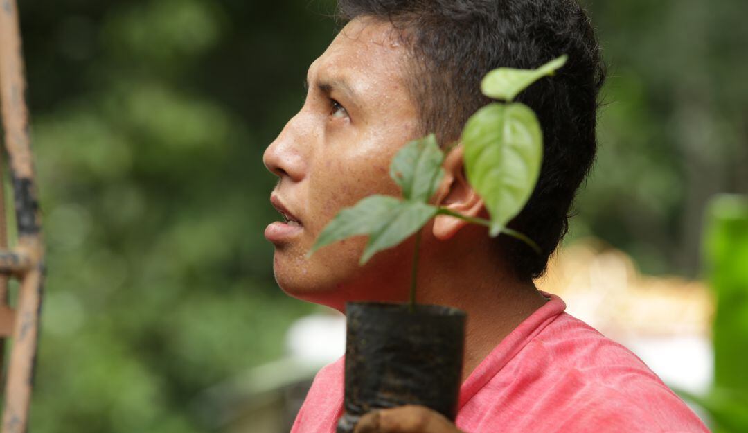 Campesino beneficiado con el programa de sistemas agroforestales en la Amazonía.