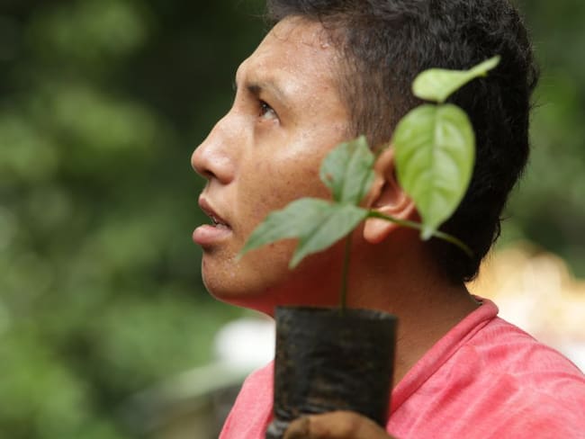 Campesino beneficiado con el programa de sistemas agroforestales en la Amazonía.