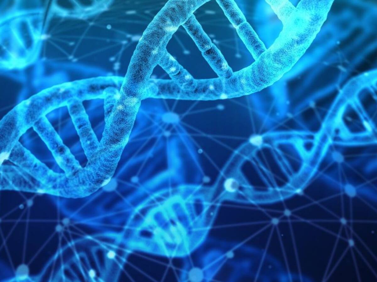 Clínica Imbanaco crea estrategia para impulsar la Medicina Genómica