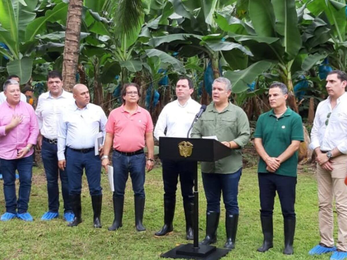 Iván Duque anuncio en Urabá acciones contra el Hongo Fusarium en Colombia