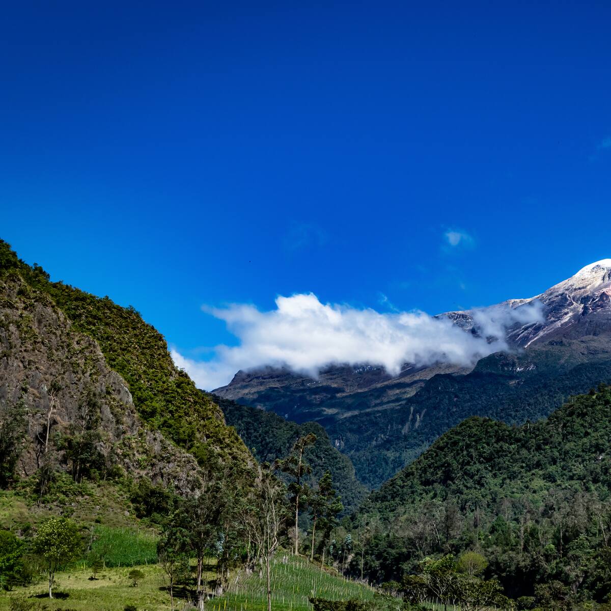 Tolima sube en el Índice de Competitividad Turística