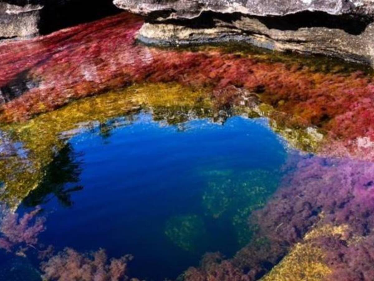 Cormacarena suspende acceso de turistas a Caño Cristales por la sequía