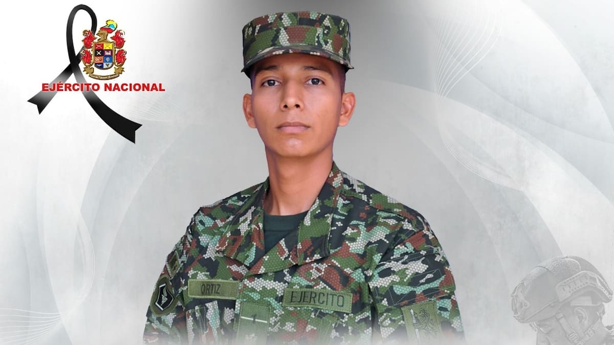 En un retén de la guerrilla del ELN un soldado que despejaba la vía murió