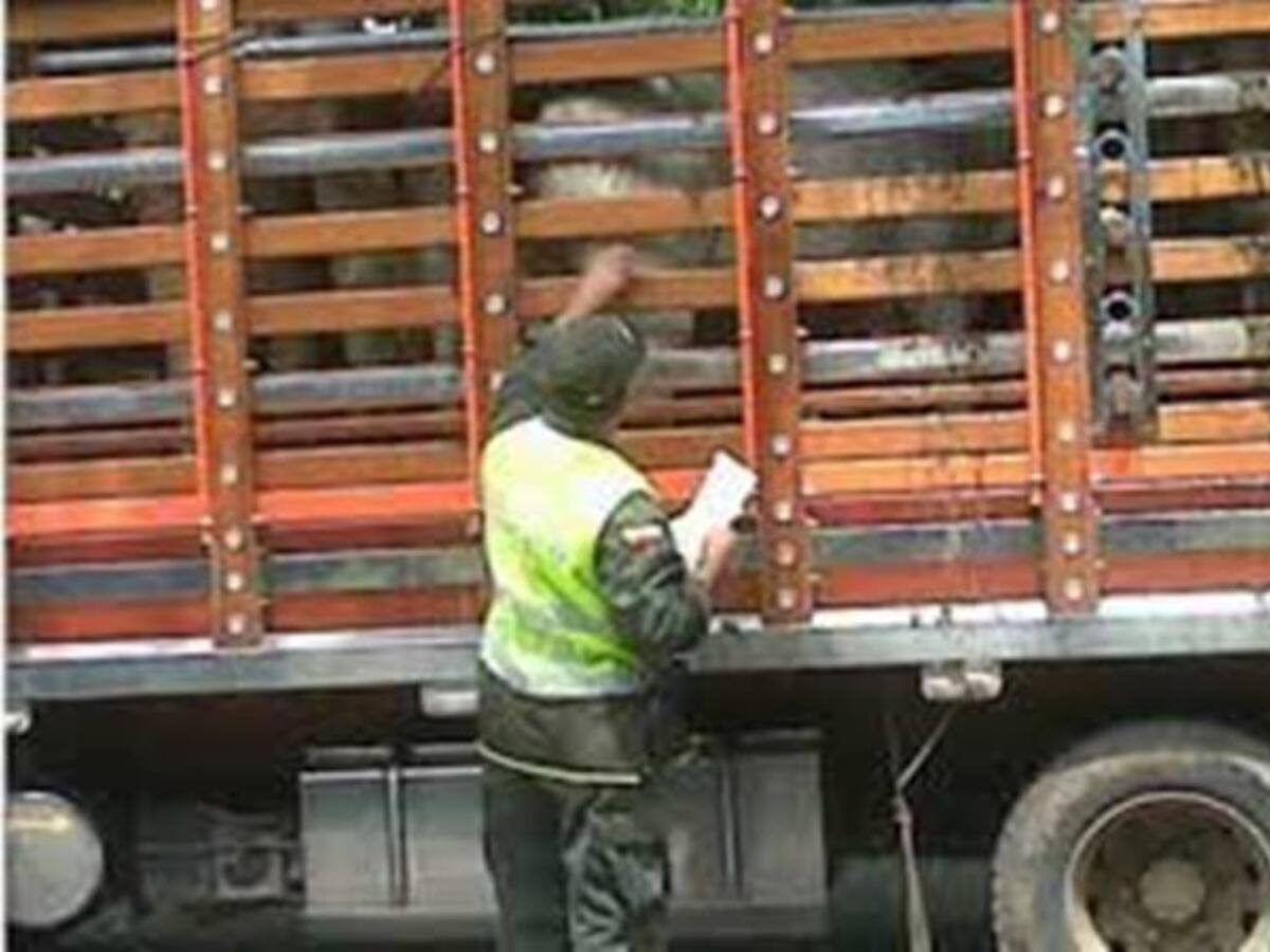 Comerciantes de ganado en Boyacá insisten en que el ICA conozca sus peticiones