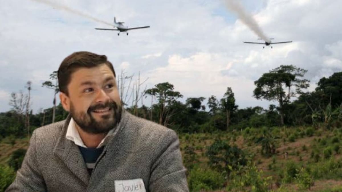 Glufosinato de amonio no degrada de raíz cultivo de coca, prueba no dará resultados: Javier Flórez