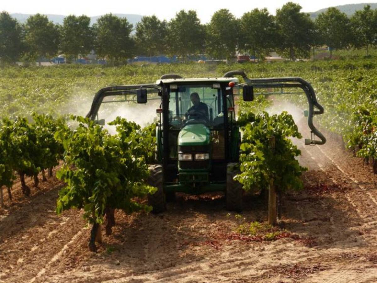 Agricultura Pránica, una forma de apreciar a la naturaleza como un ser vivo