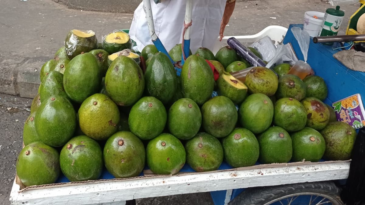 Hay escasez de aguacate de San Vicente de Chucurí en Bucaramanga