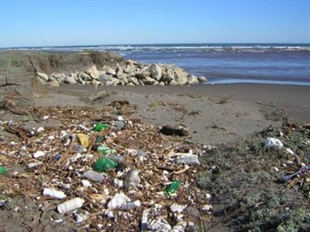 El 6 de Septiembre 500 mil personas a limpiar playas en el mundo.