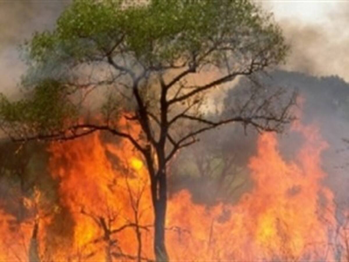 Alerta en el Tolima por incendios forestales