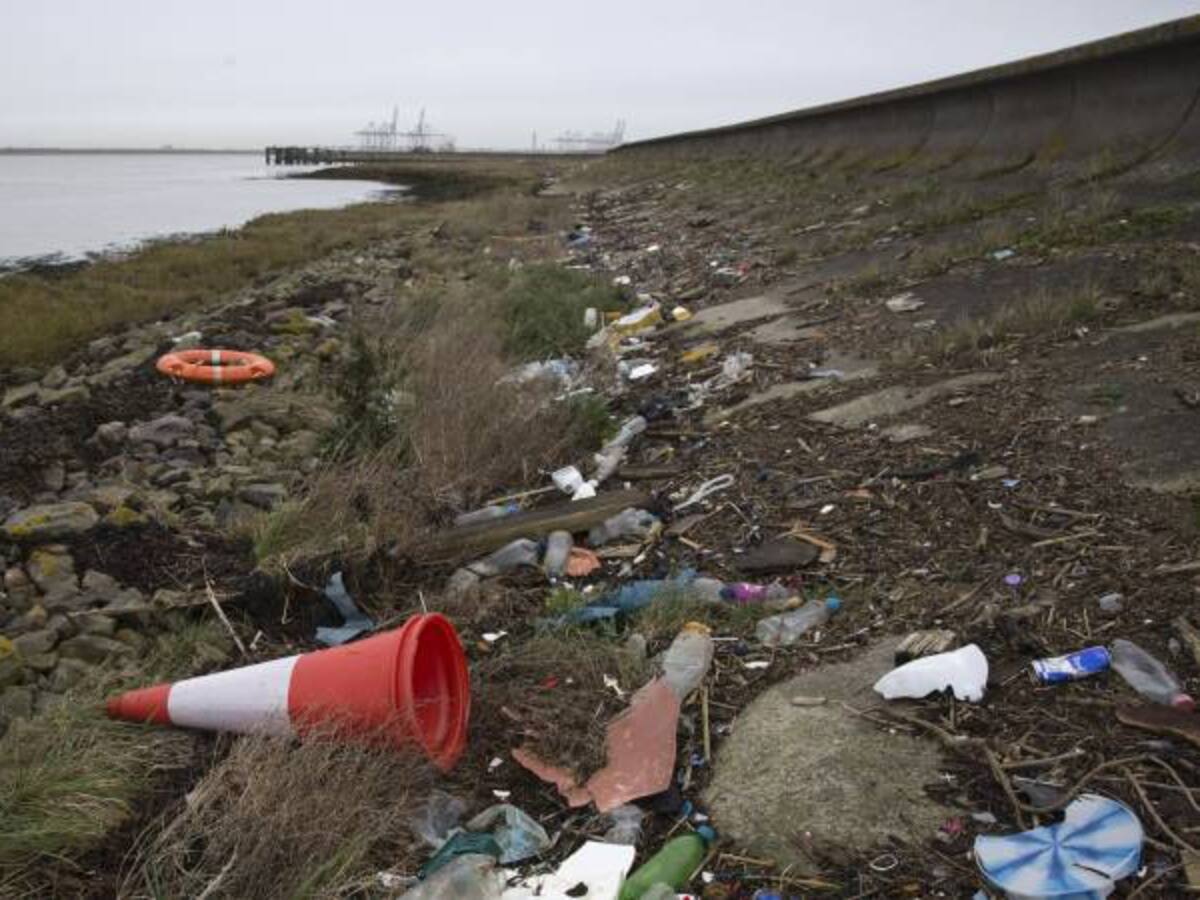 ¿Cómo combatir la contaminación de plástico en el Día de la Tierra?