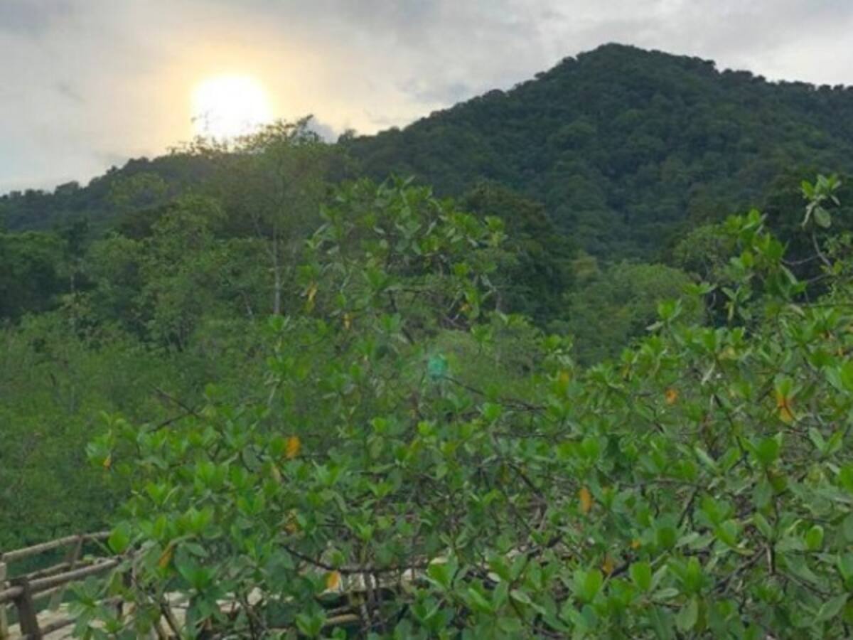 Fronteras de selva y mar para la paz en el Chocó