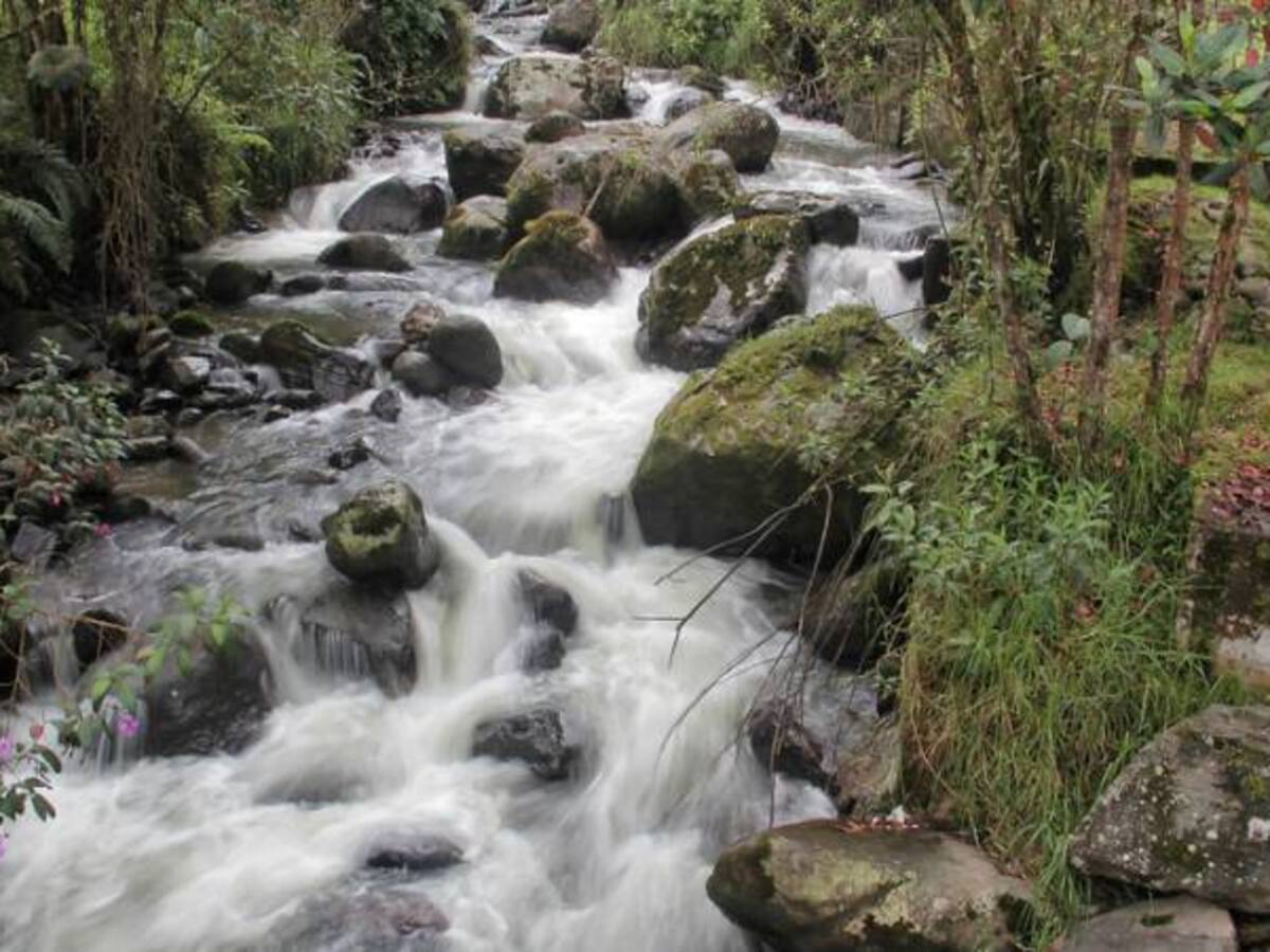 Colombia cuenta con seis nuevos destinos turísticos sostenibles
