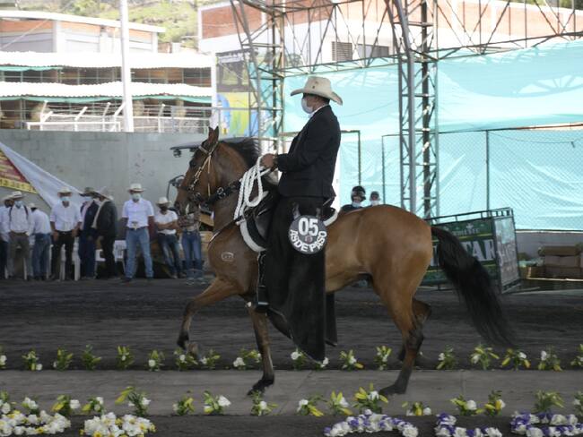 Vuelve la exposición de caballos más importante de Cundinamarca