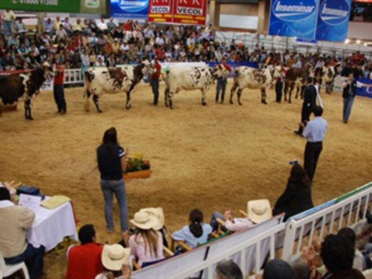 Un 20 por ciento aumentó el número de visitantes de Agroexpo 2013