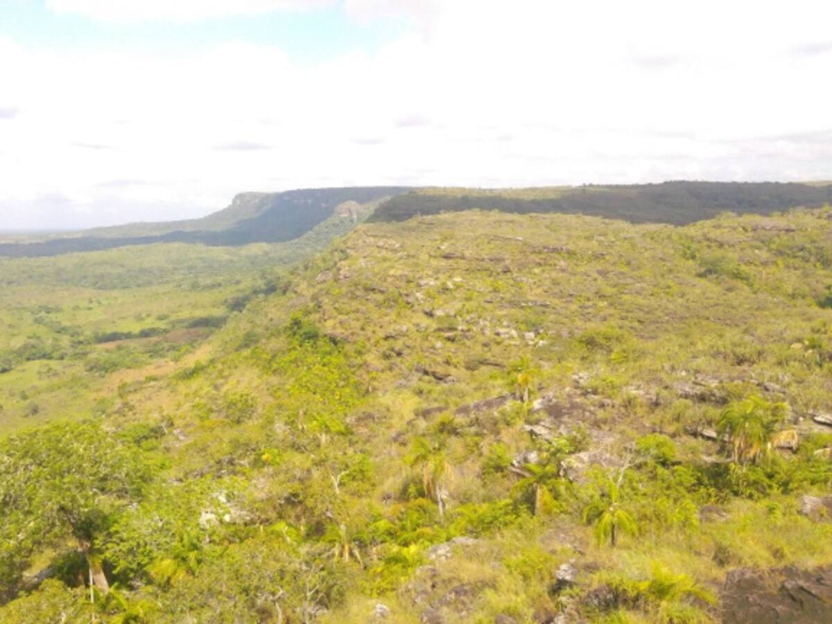 Anla niega que licencia ambiental afecte zonas protegidas de La Macarena
