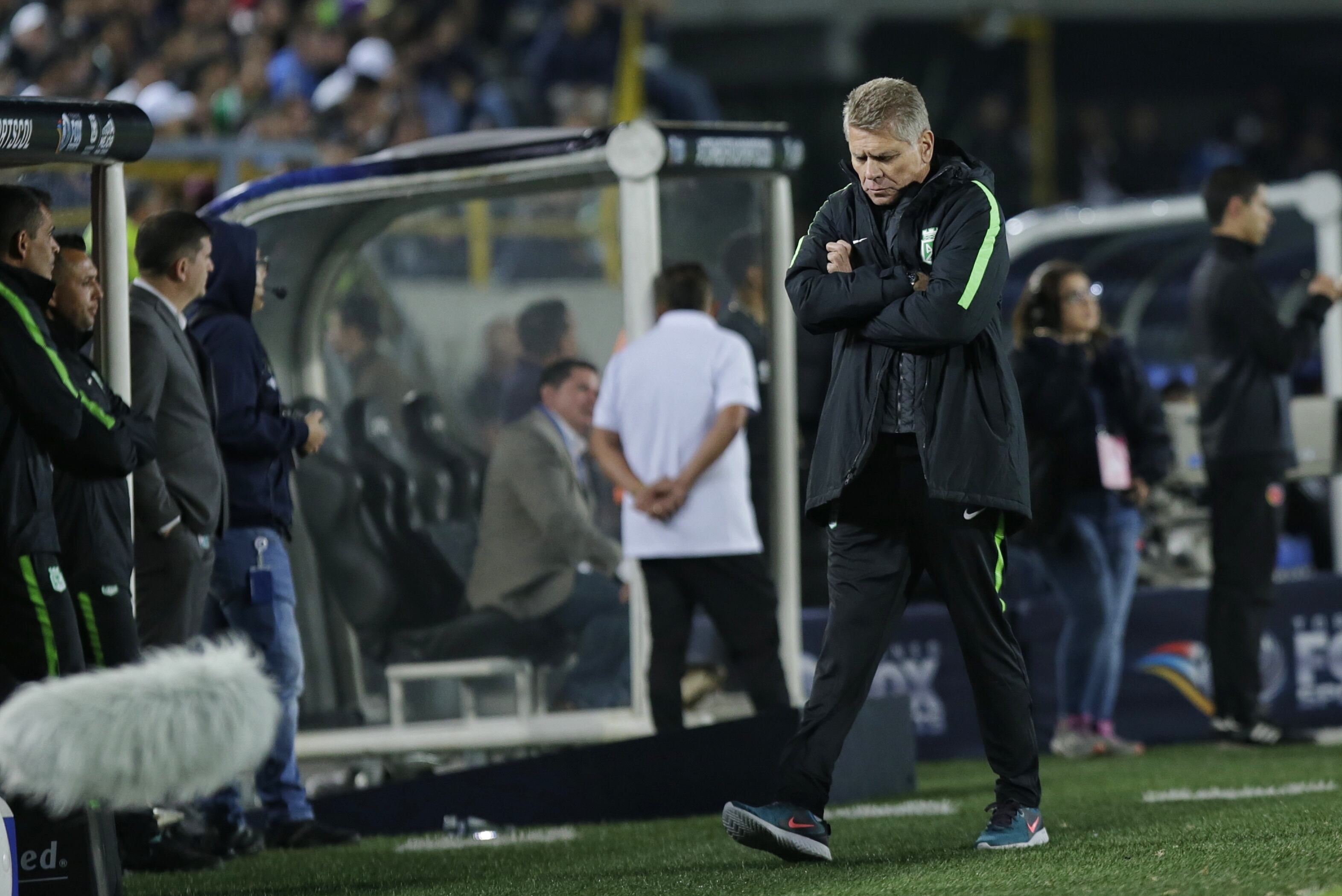 Paulo Autuori, DT de Atlético Nacional / Colprensa.