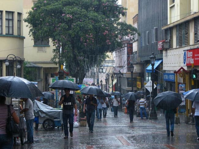 Foto: Comunicaciones CDMB