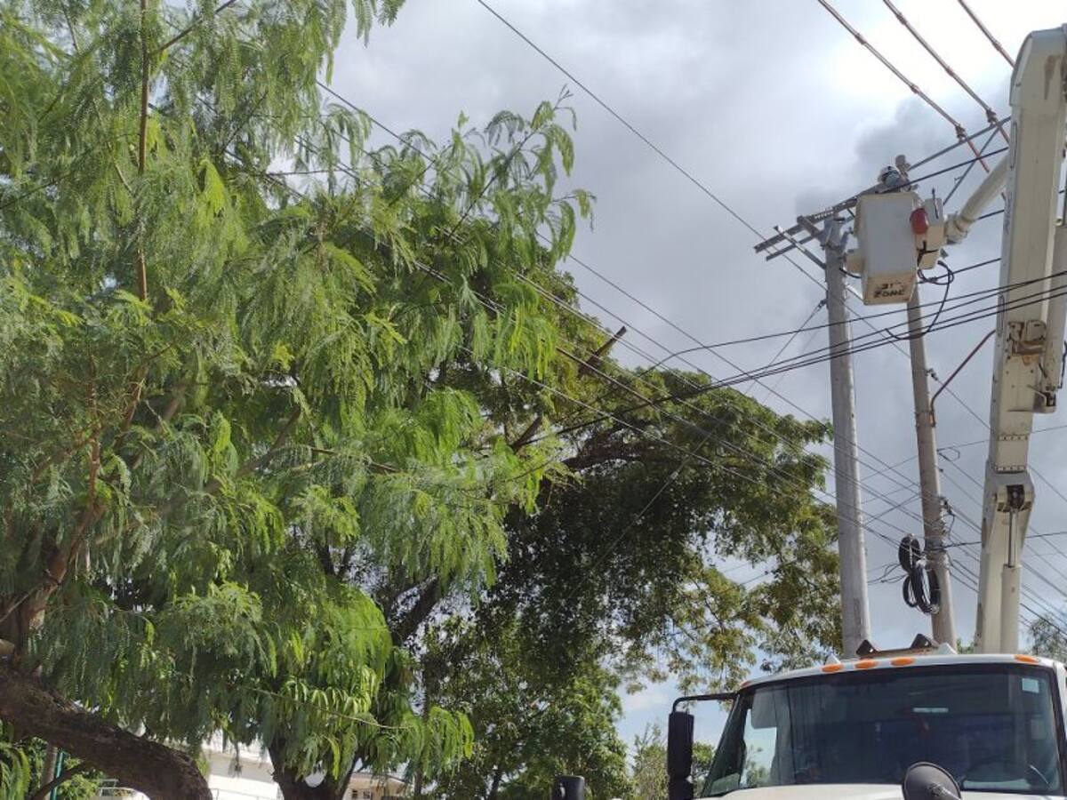 Programación de Afinia entre el 19 y 21 de agosto en Cartagena y Bolívar