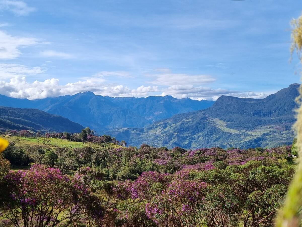 Municipio de Cundinamarca organiza la primera ruta de ciclomontaña en bosque de ‘sietecueros’