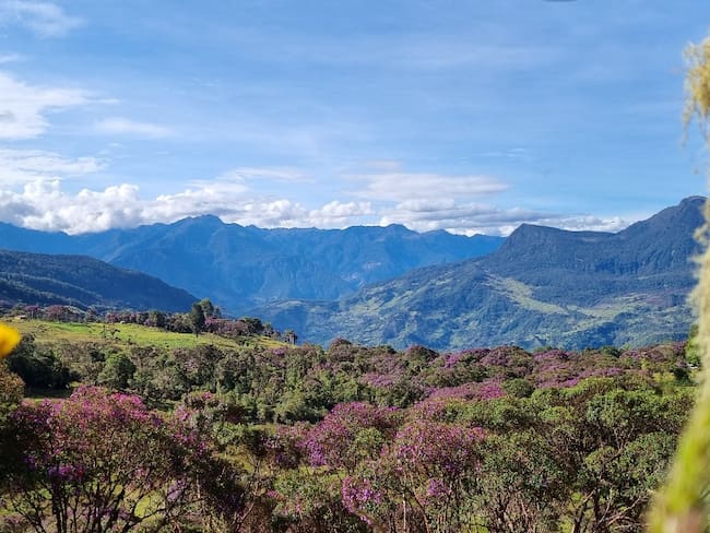Foto: Alcaldía de Gutiérrez