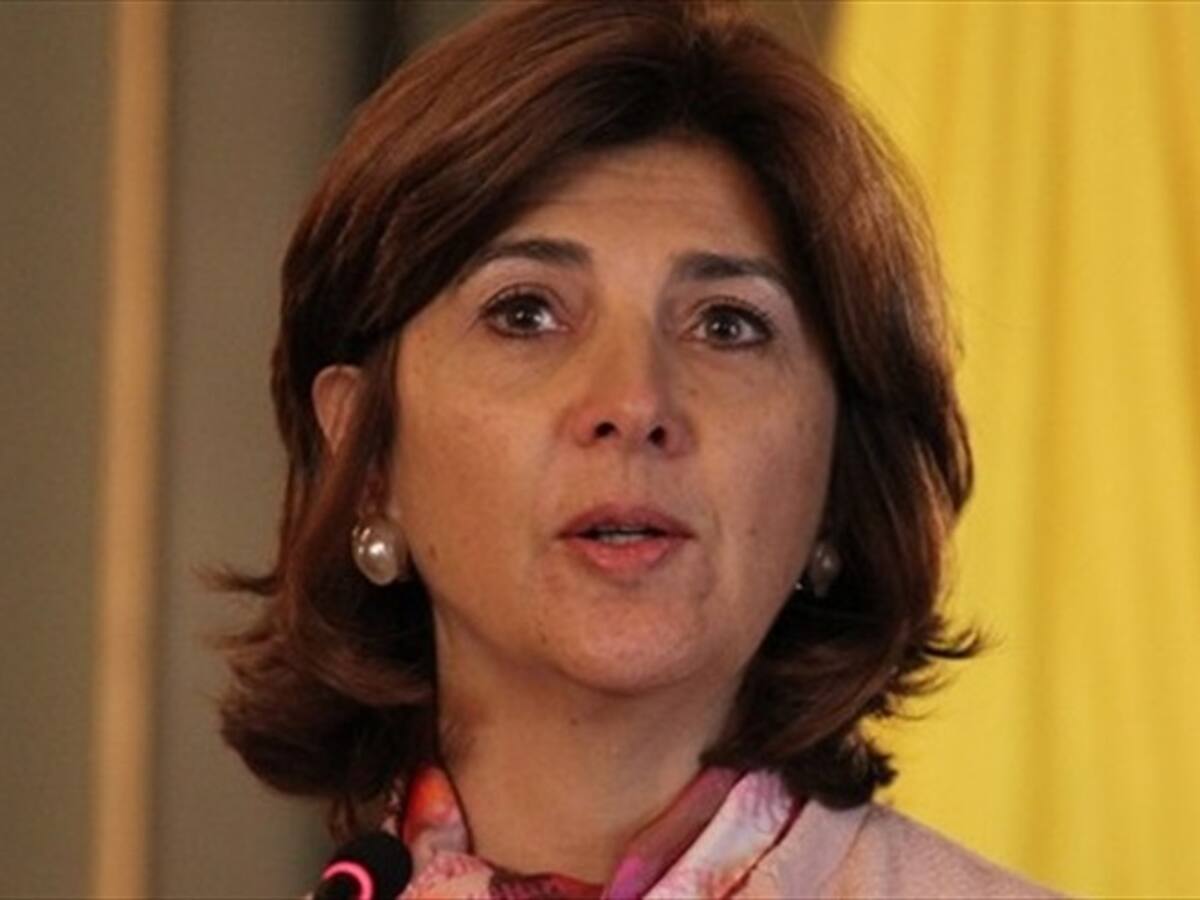 Canciller estudia la implementación de visas humanitarias para venezolanos