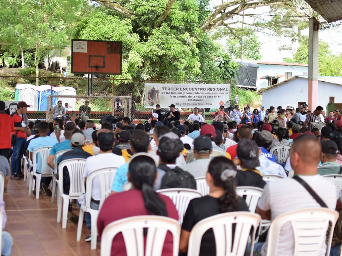 Gobierno hace propuesta para la sustitución de cultivos ilícitos en el Catatumbo