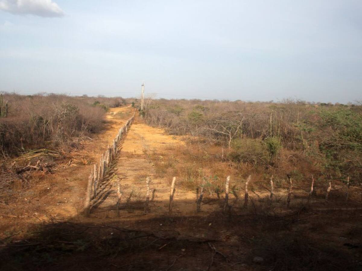 Aprueban la calamidad pública por sequía en Sucre