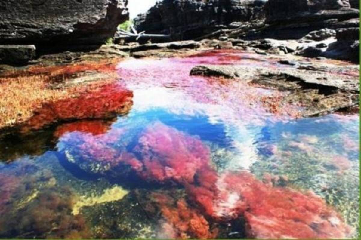 Caño Cristales es un río de Colombia que está ubicado en la sierra de la Macarena, en el municipio del mismo nombre, en el departamento del Meta. Ha sido denominado el río de los cinco colores, "el arco iris que se derritió" o también el río mas hermoso del mundo, ya que en su fondo se reproducen plantas acuáticas de diversos colores, que producen la sensación de estar frente a un río de cinco colores: rojo, amarillo, verde, azul y negro.