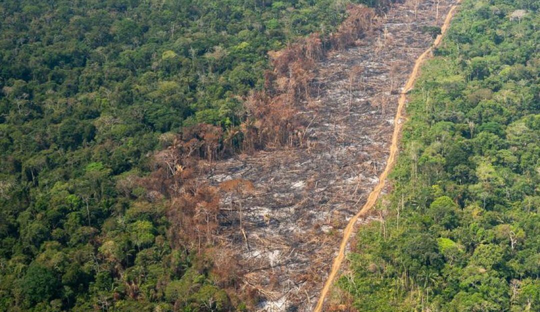 Imagen de referencia.