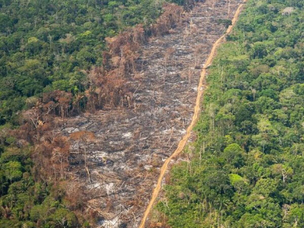 Un ganadero es el primer judicializado con nueva ley ambiental