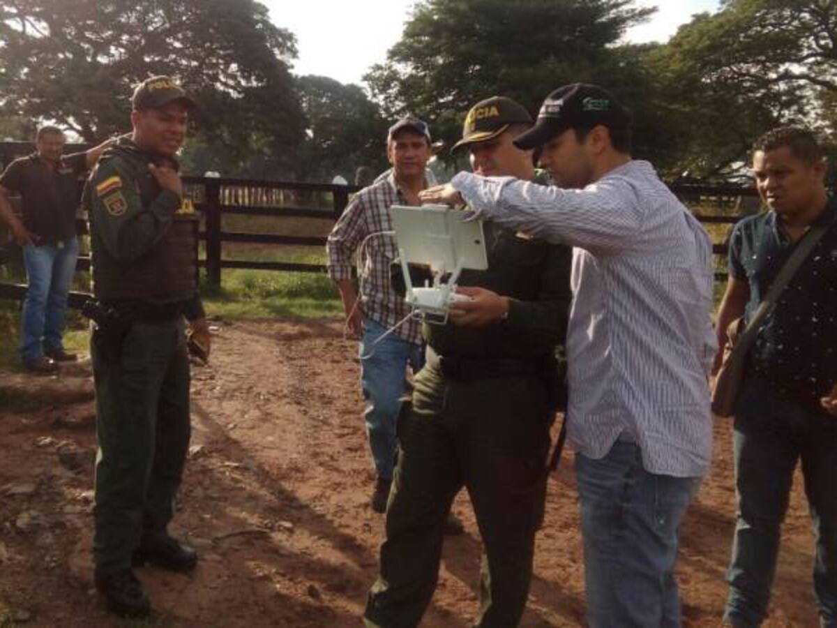 Con drones recuperan ganado avaluado en más de $100 millones en Cesar