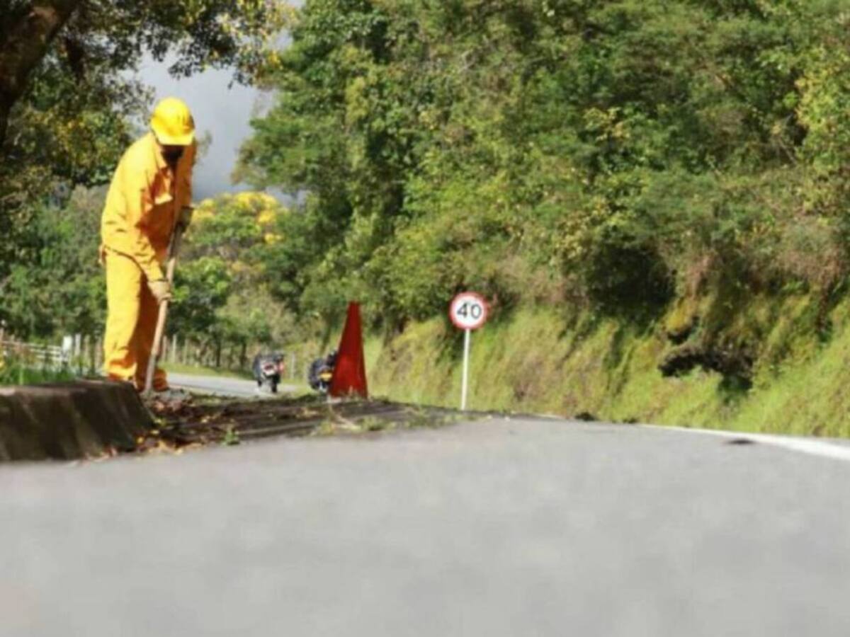 Estudios y diseños para la doble calzada de la vía La Romelia - El Pollo