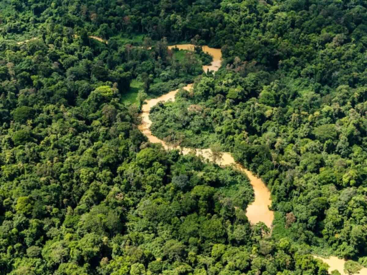 Ordenan suspensión de actividades mineras en río Quito
