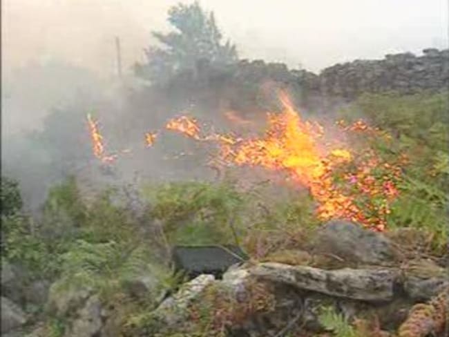 En aumento el daño ecológico por efecto de los incendios forestales en el país