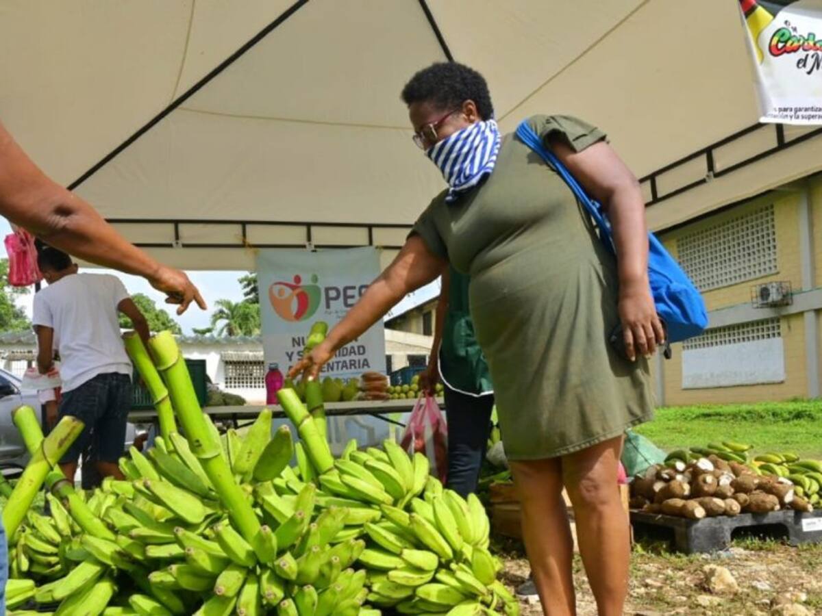 Mercados campesinos en el barrio Nelson Mandela de Cartagena