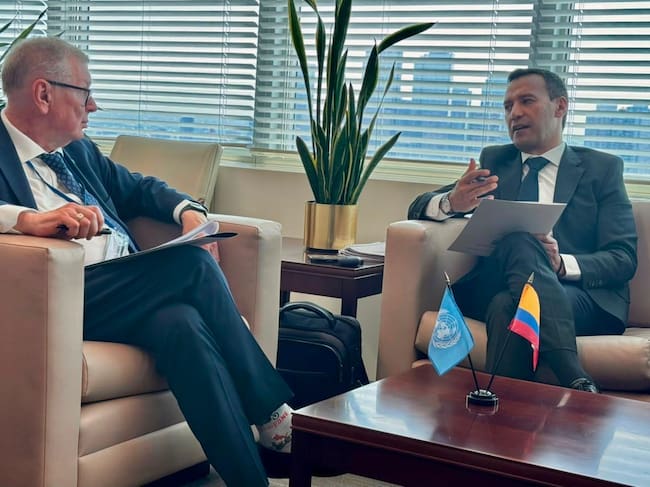 Mindefensa pidió apoyo de la ONU para frenar uso criminal de drones