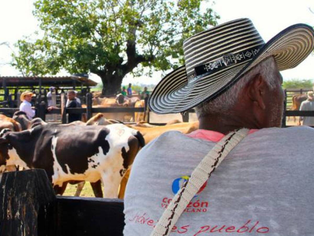 Condenado a seis años de prisión a un exfuncionario que estafó a la Fedegán