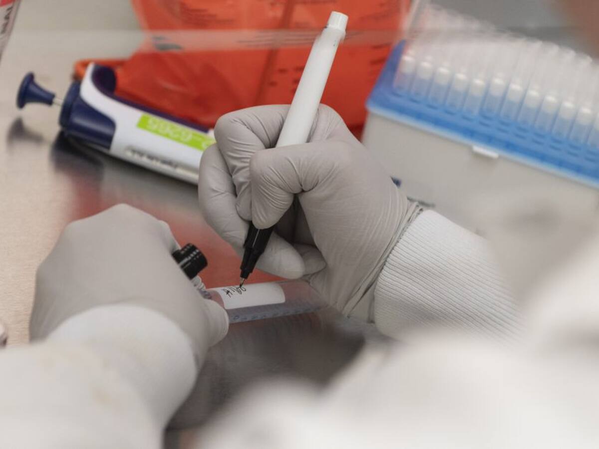 "Entre 12 y 18 meses podríamos hablar de un prototipo de vacuna"